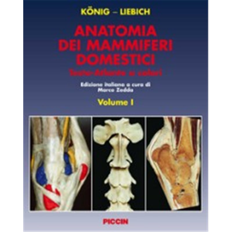 Anatomia dei mammiferi domestici